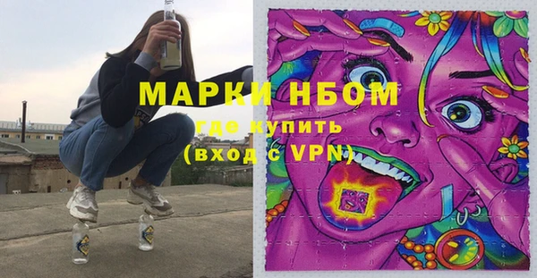 бошки Алексин