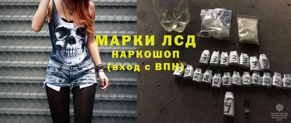 прущий лед Алзамай