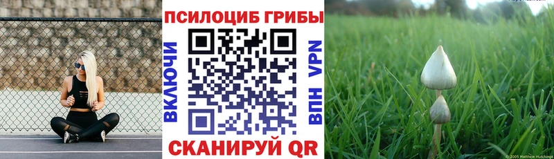 Галлюциногенные грибы ЛСД  Кумертау 